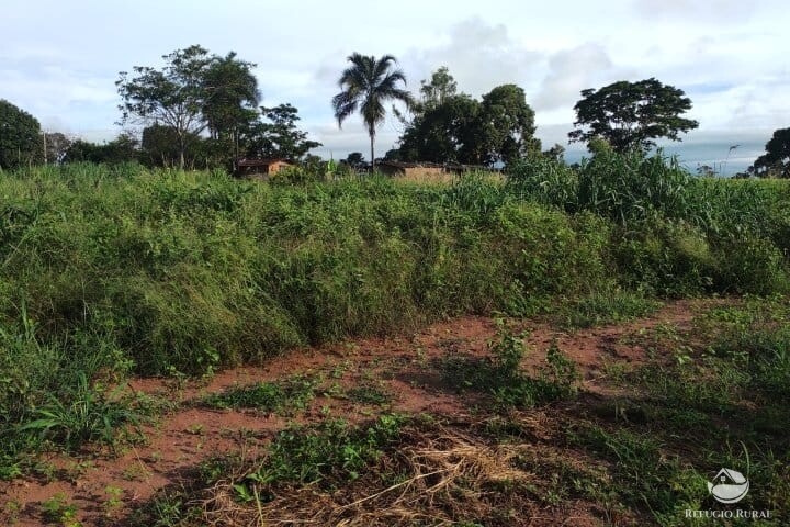 Fazenda à venda com 2 quartos, 16m² - Foto 34