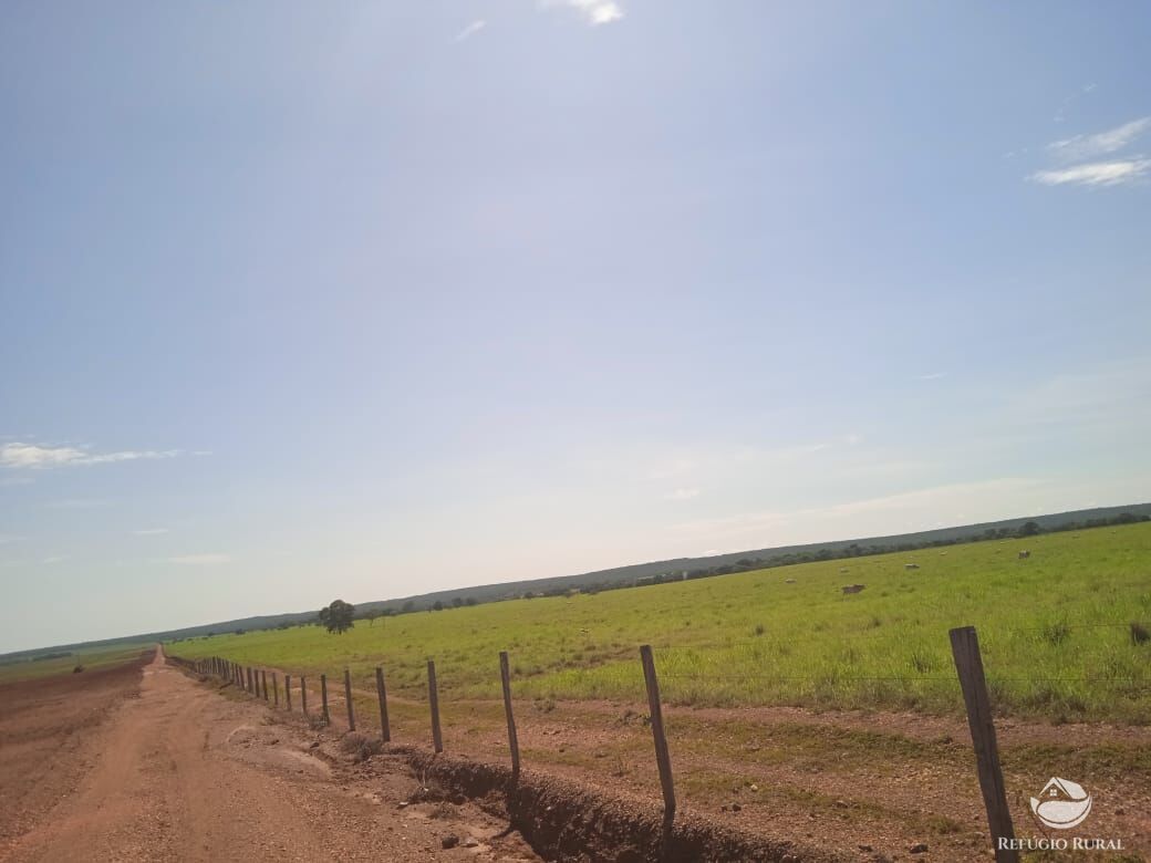 Fazenda à venda com 2 quartos, 29378800m² - Foto 4