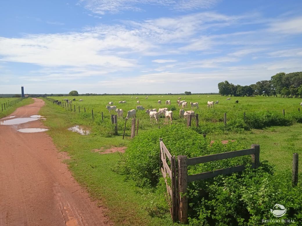 Fazenda à venda com 2 quartos, 29378800m² - Foto 2