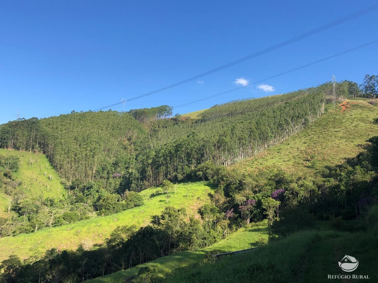 Fazenda à venda com 1 quarto, 202500m² - Foto 13