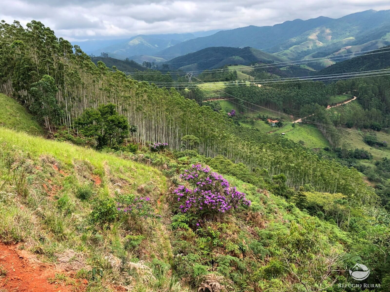 Fazenda à venda com 1 quarto, 202500m² - Foto 2