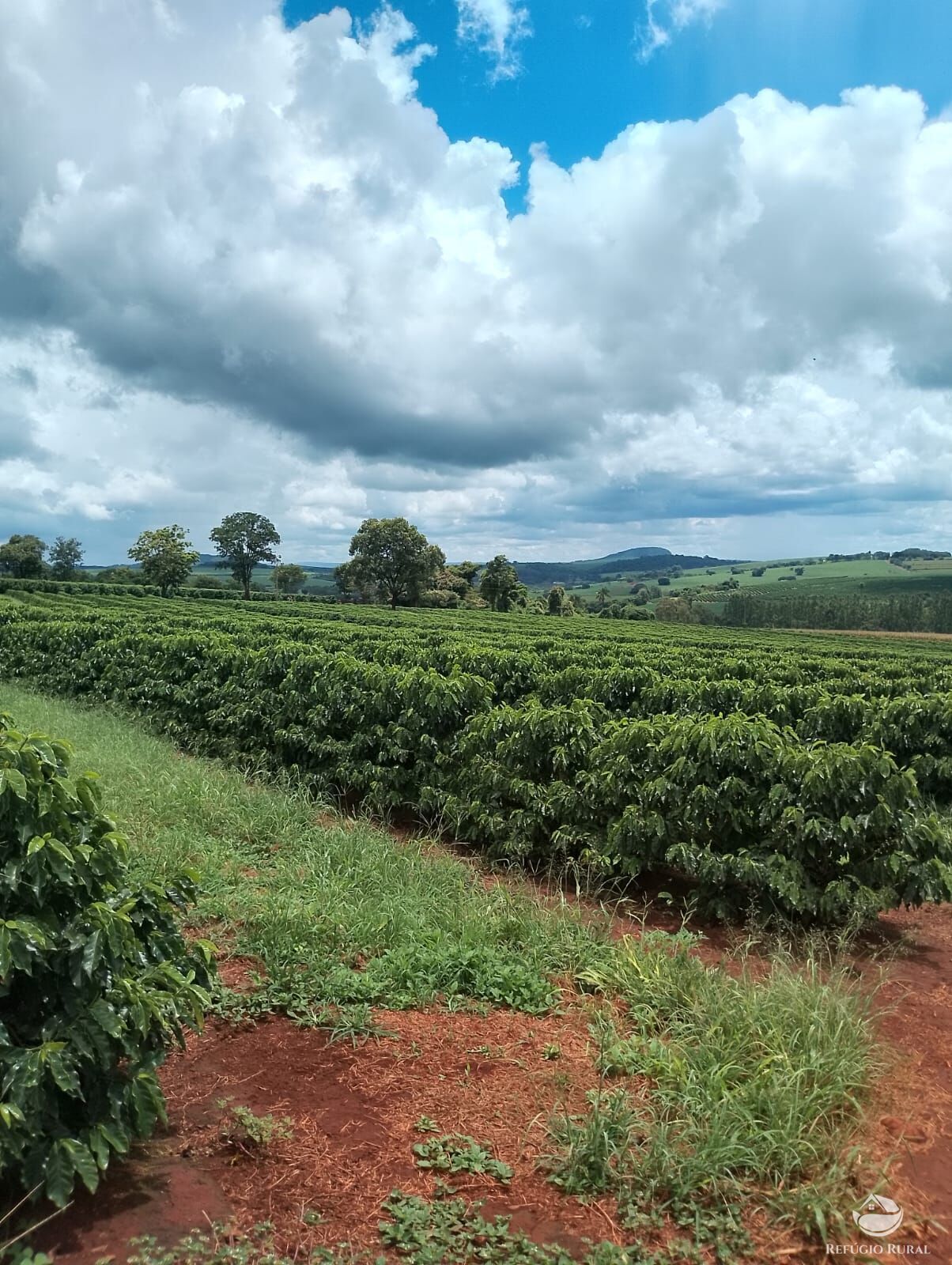 Fazenda em Ibiá/Minas Gerais — Ref HX4YPU — Imagem 13