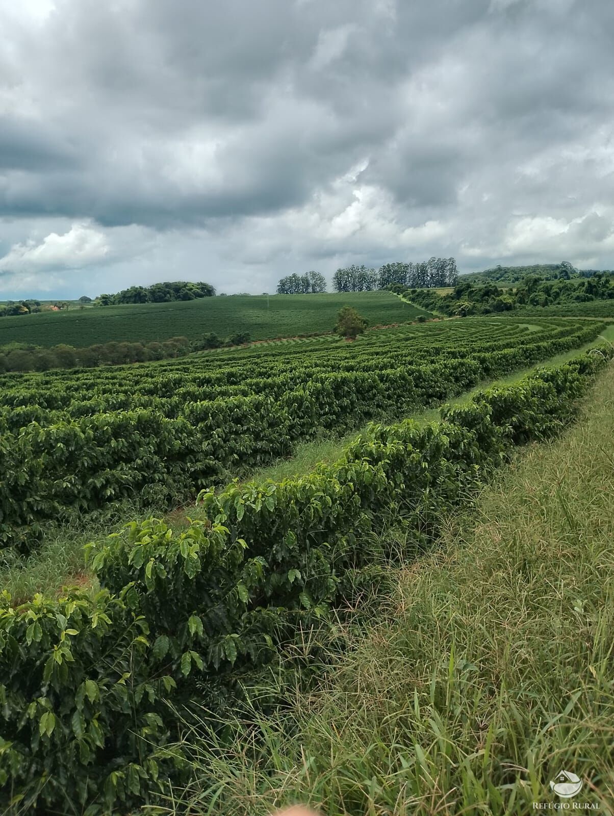 Fazenda em Ibiá/Minas Gerais — Ref HX4YPU — Imagem 42