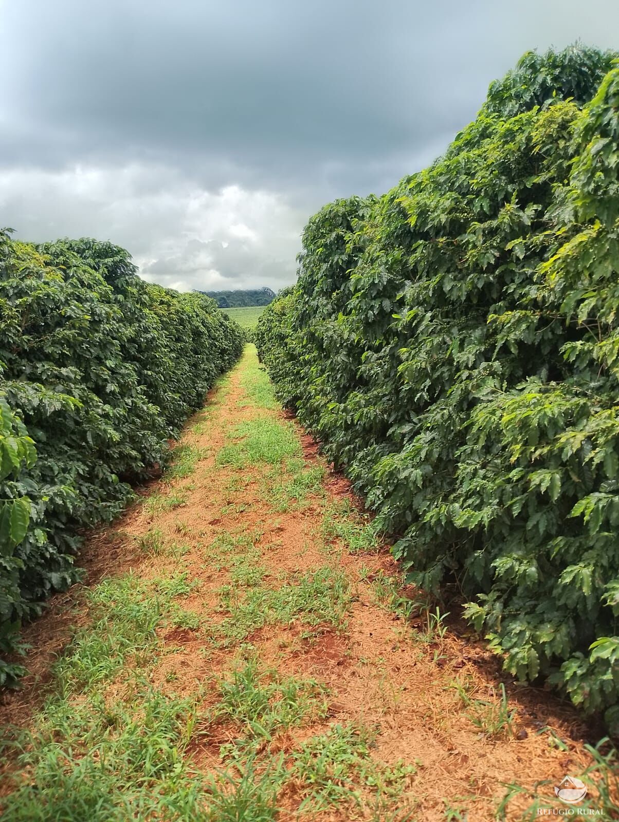 Fazenda em Ibiá/Minas Gerais — Ref HX4YPU — Imagem 44