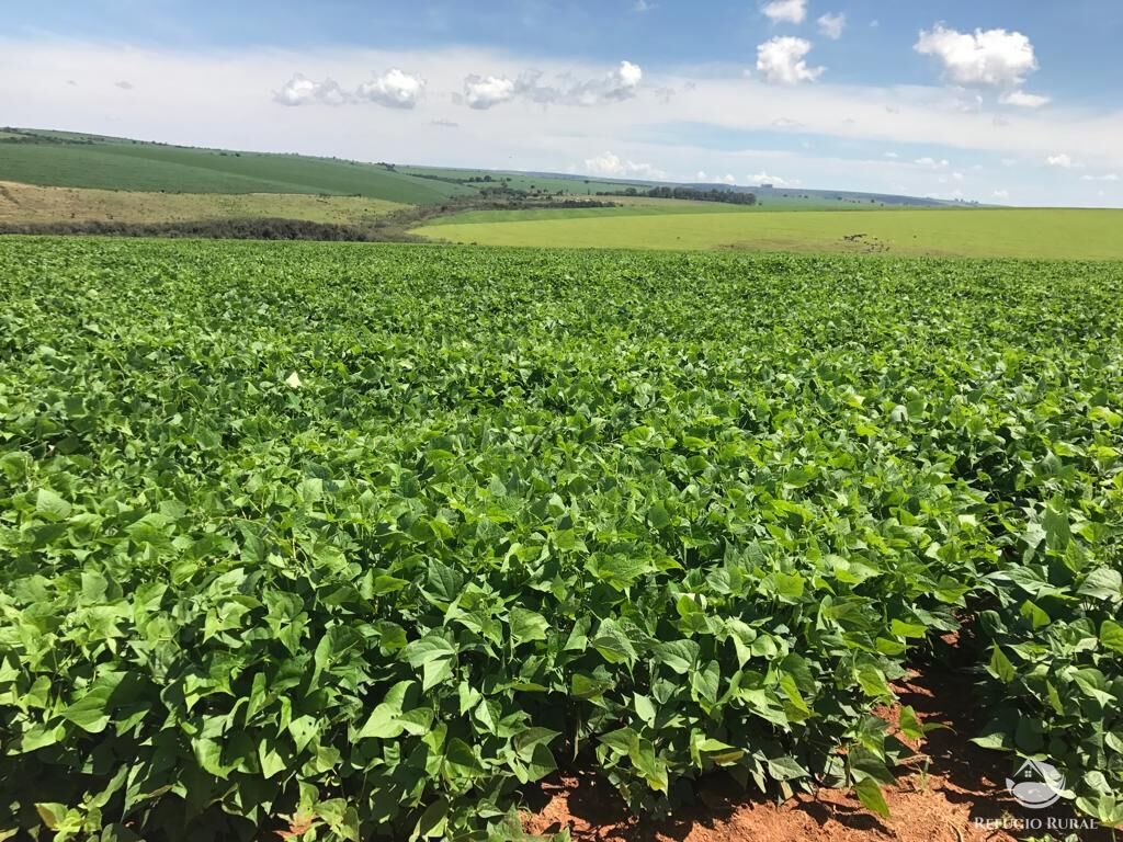 Fazenda em Ibiá/Minas Gerais — Ref HX4YPU — Imagem 38