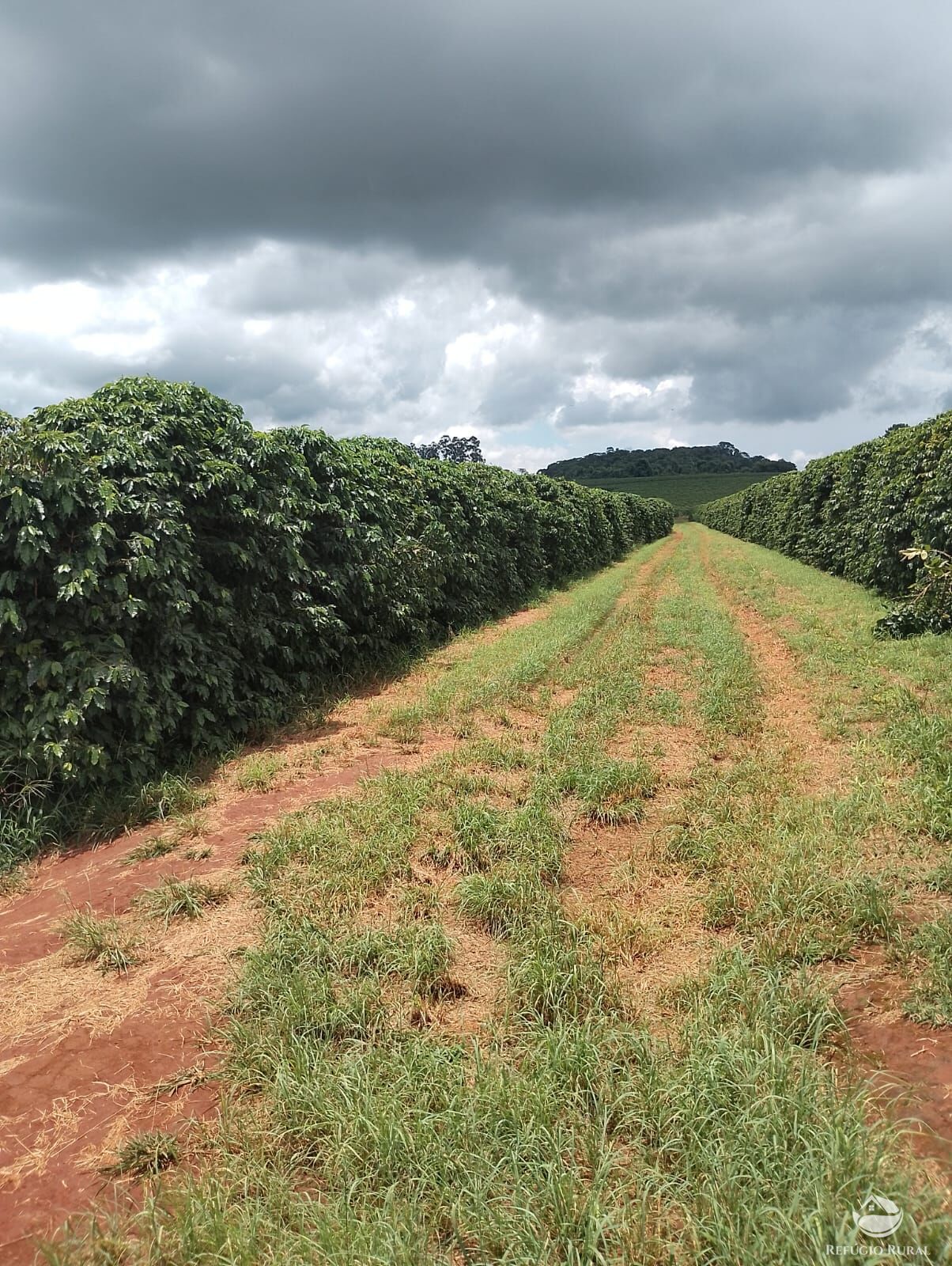 Fazenda em Ibiá/Minas Gerais — Ref HX4YPU — Imagem 14