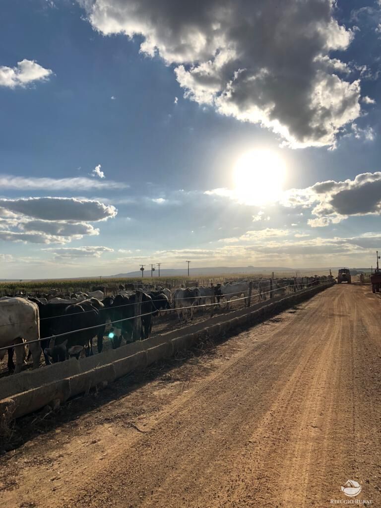 Fazenda em Ibiá/Minas Gerais — Ref HX4YPU — Imagem 10