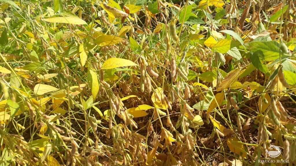 Fazenda em Ibiá/Minas Gerais — Ref HX4YPU — Imagem 27