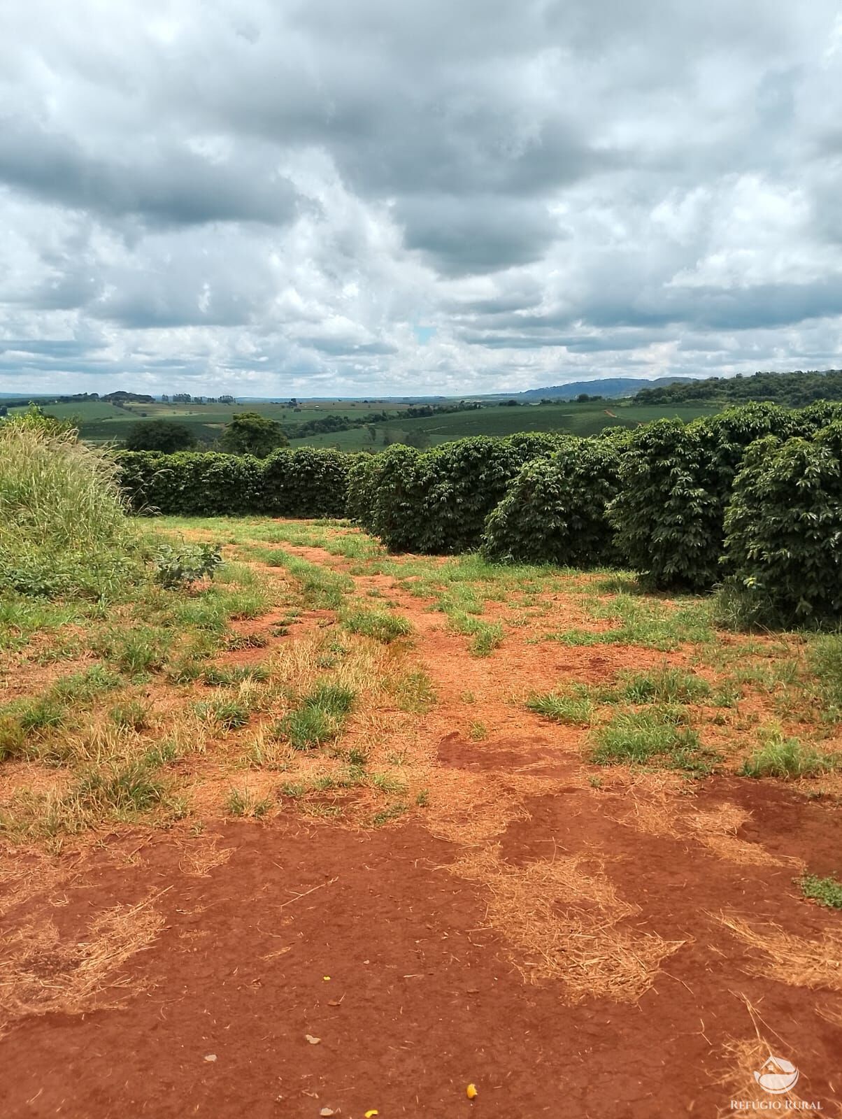 Fazenda em Ibiá/Minas Gerais — Ref HX4YPU — Imagem 12