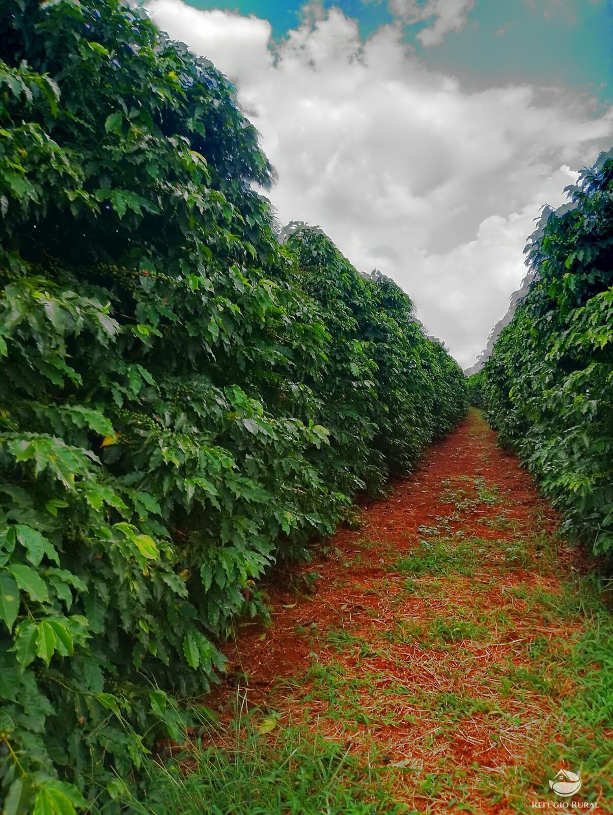 Fazenda em Ibiá/Minas Gerais — Ref HX4YPU — Imagem 43