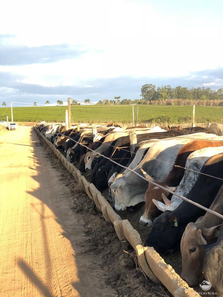 Fazenda em Ibiá/Minas Gerais — Ref HX4YPU — Imagem 9