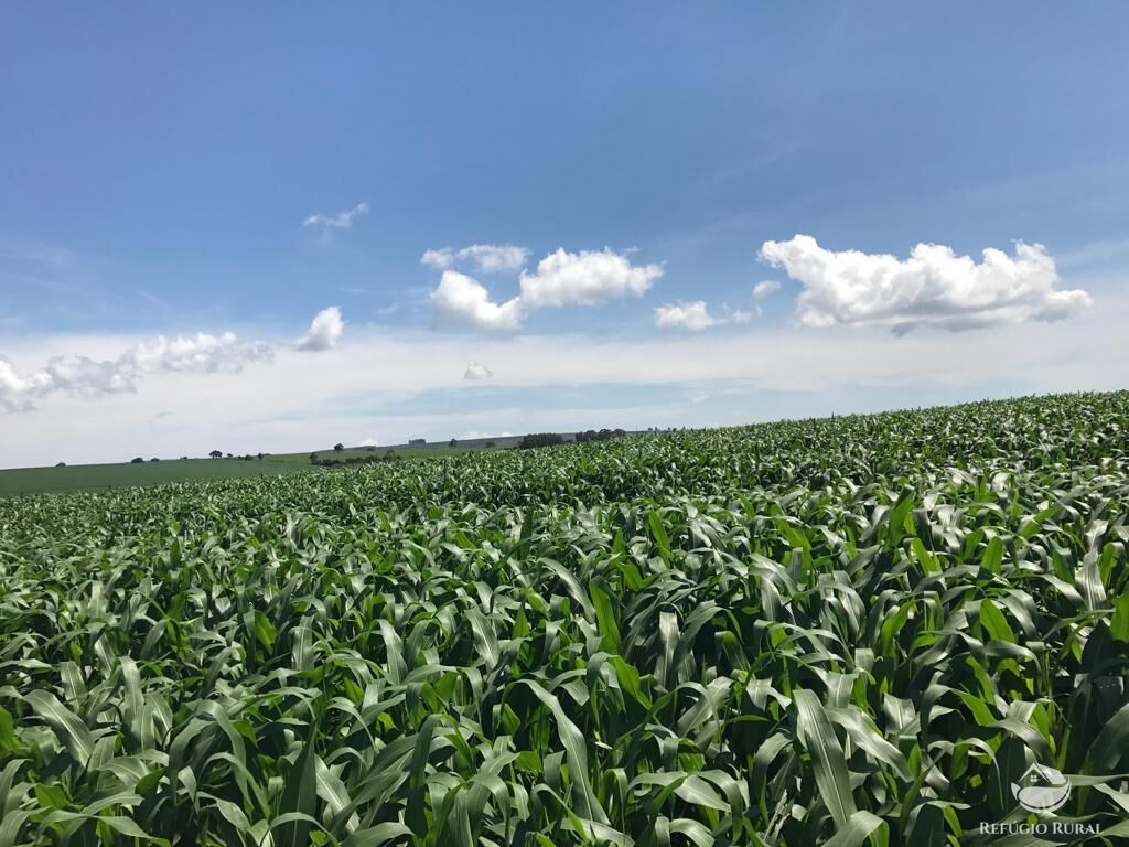 Fazenda em Ibiá/Minas Gerais — Ref HX4YPU — Imagem 39