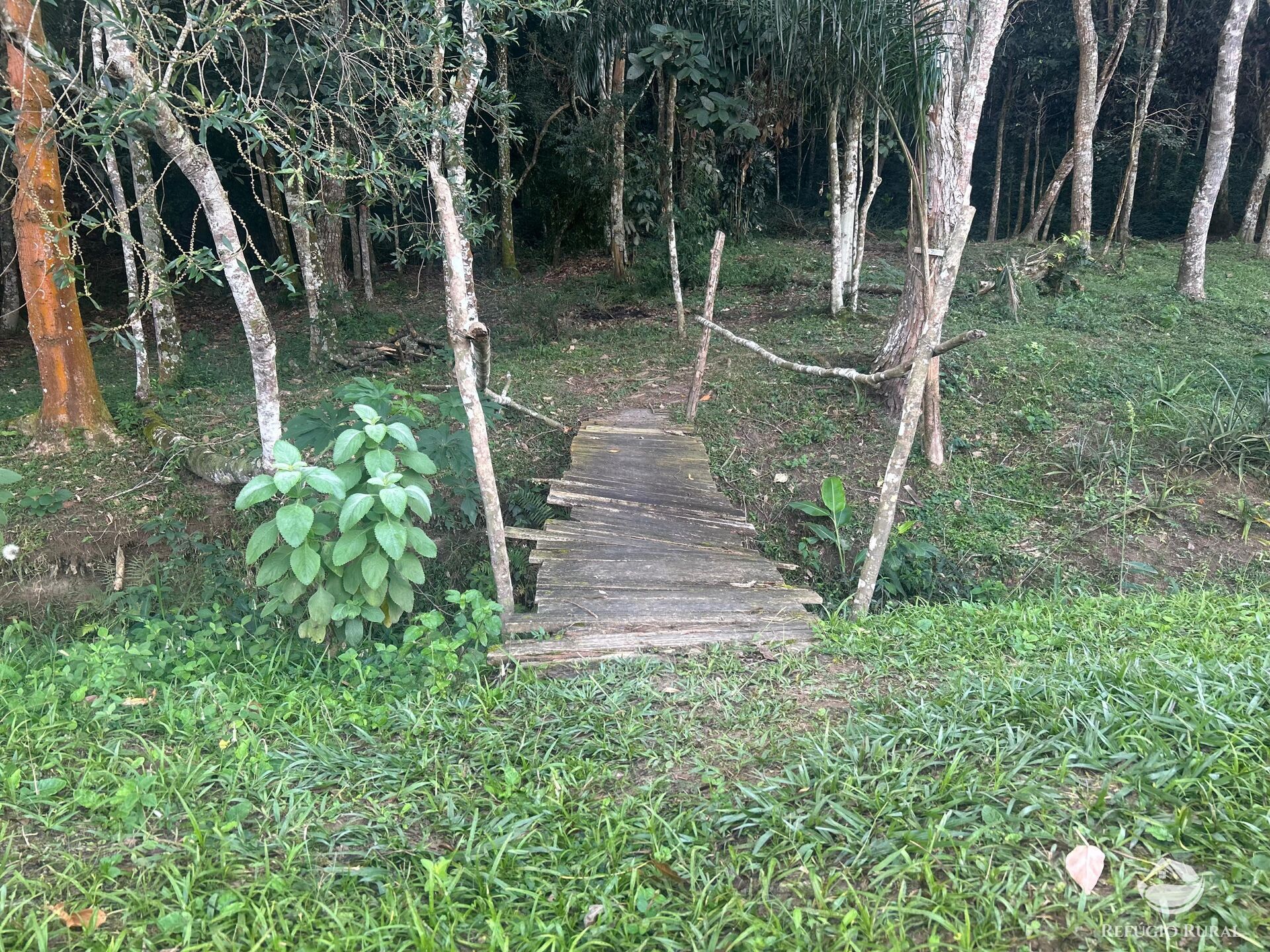 Sítio à venda com 4 quartos, 32000m² - Foto 18