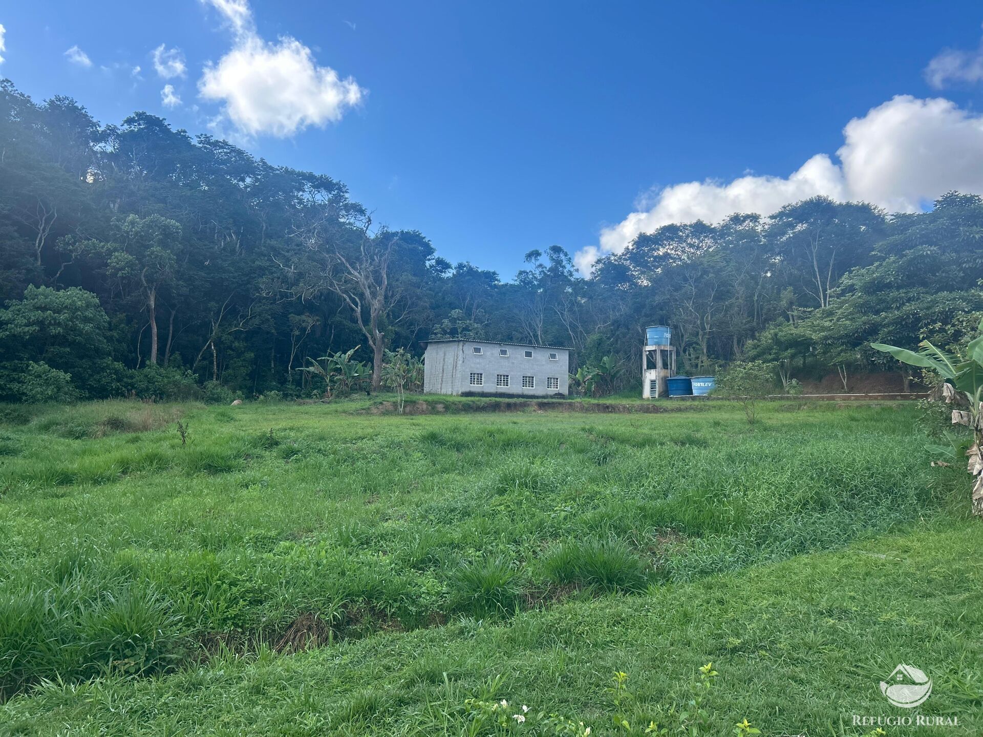 Sítio à venda com 4 quartos, 32000m² - Foto 23