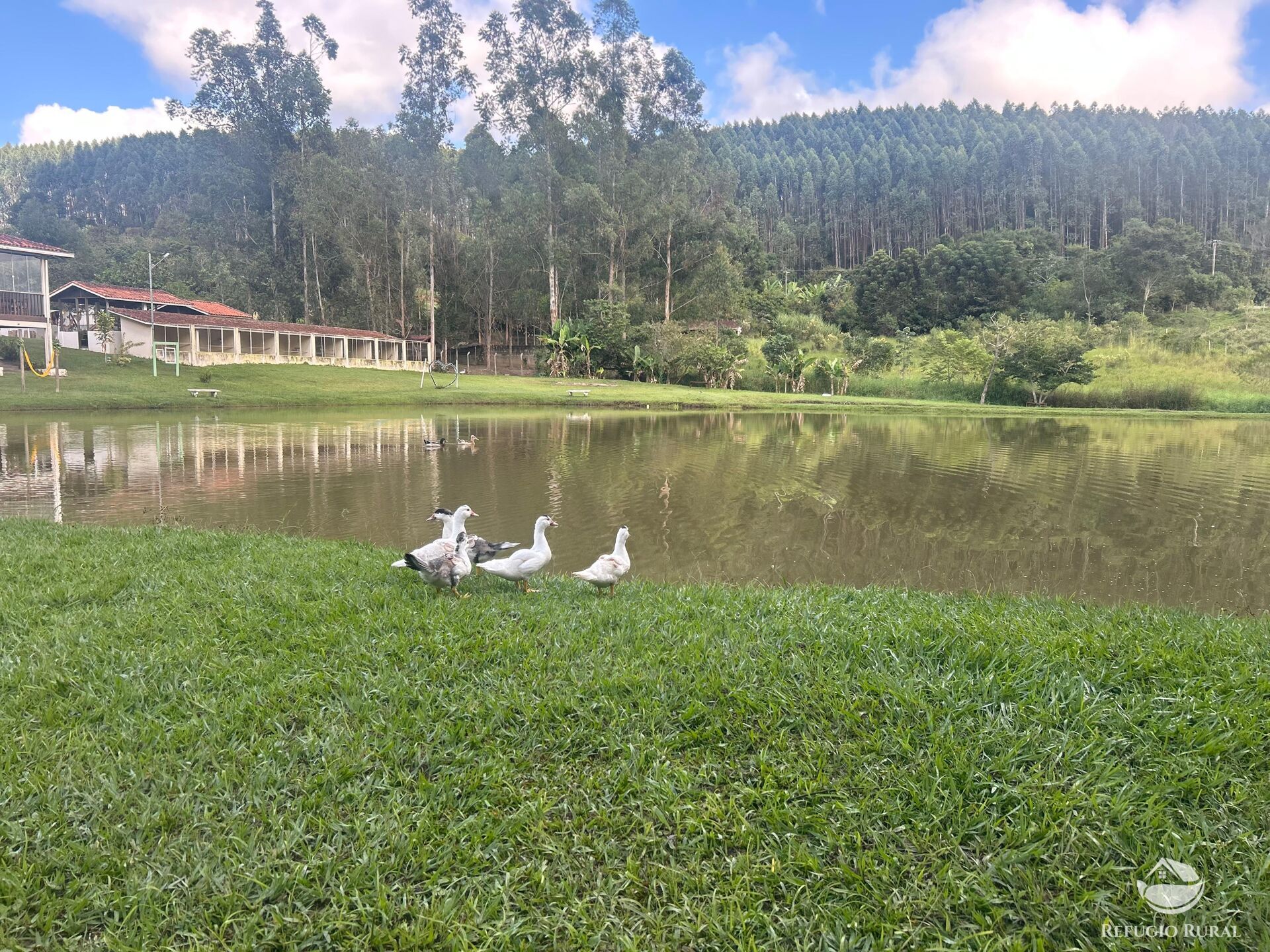 Sítio à venda com 4 quartos, 32000m² - Foto 16