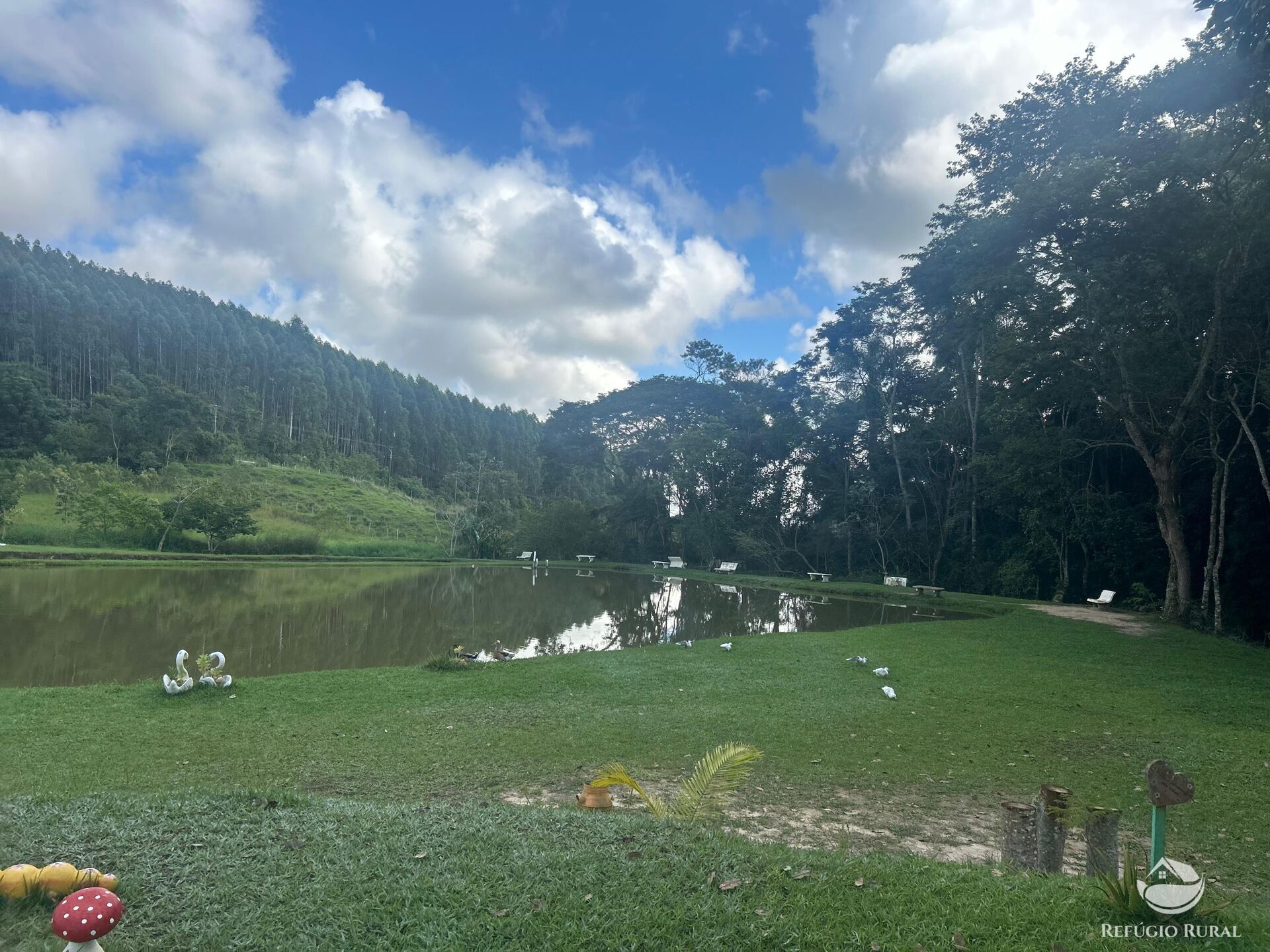 Sítio à venda com 4 quartos, 32000m² - Foto 22