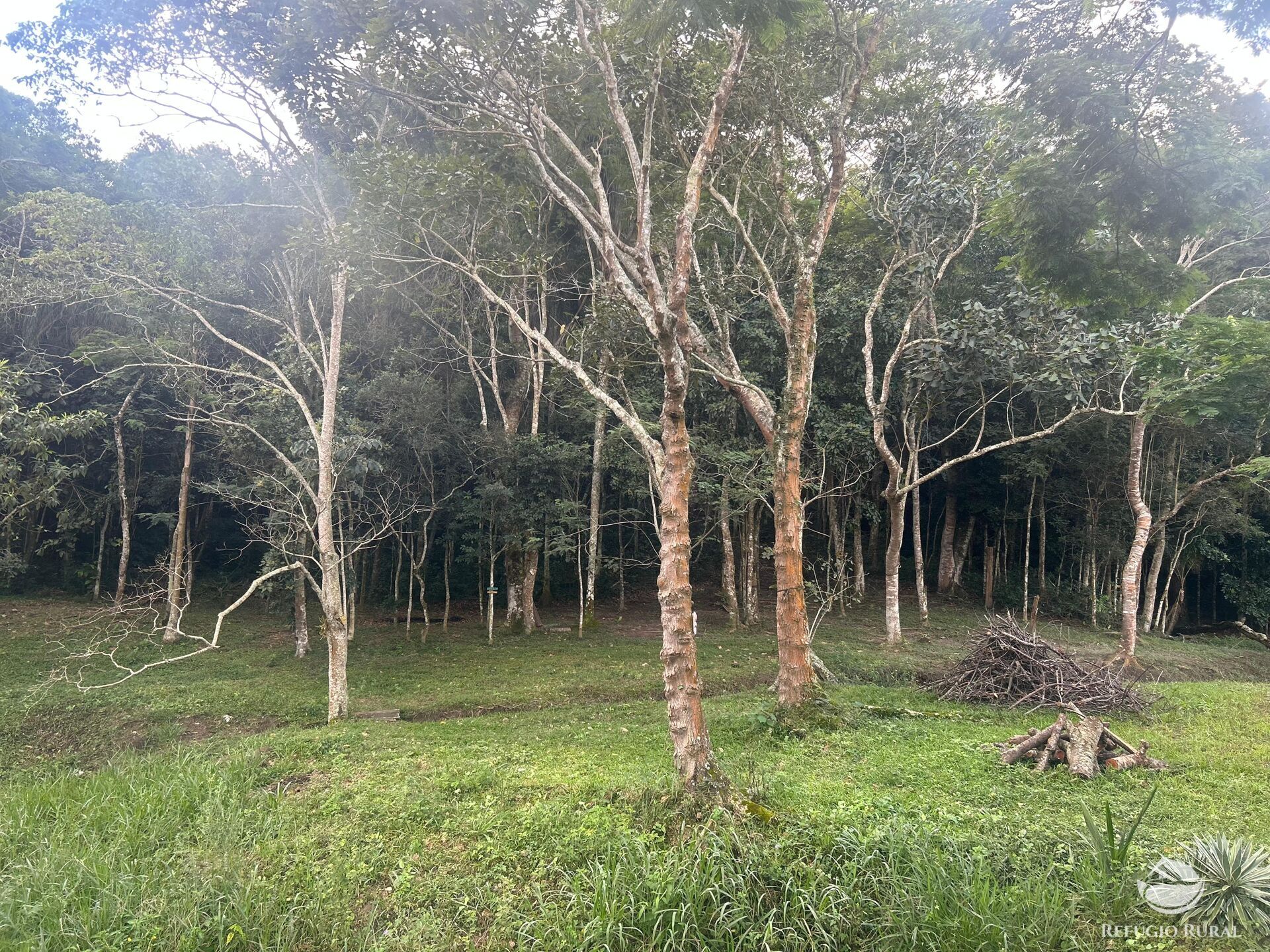 Sítio à venda com 4 quartos, 32000m² - Foto 25