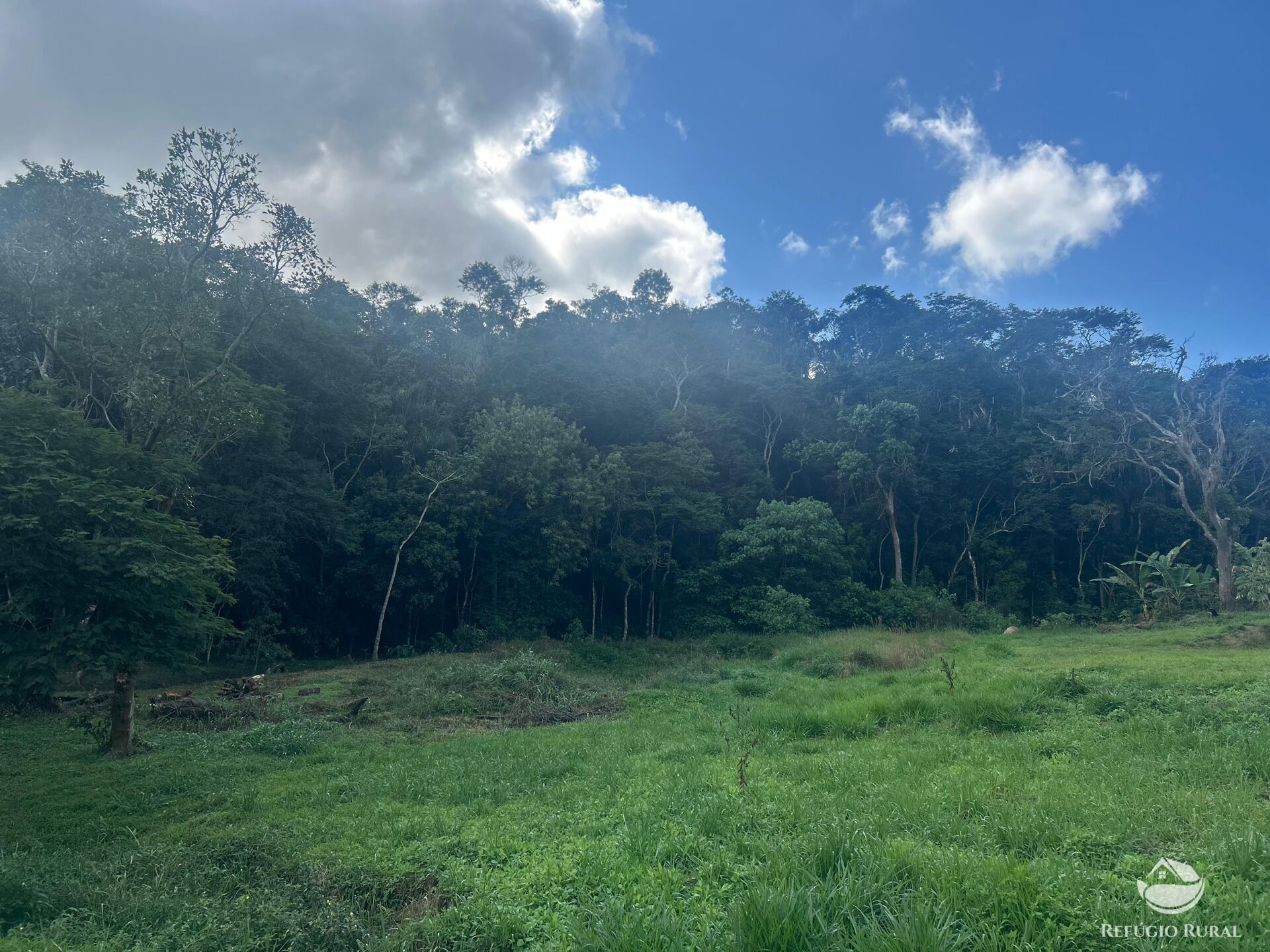 Sítio à venda com 4 quartos, 32000m² - Foto 26