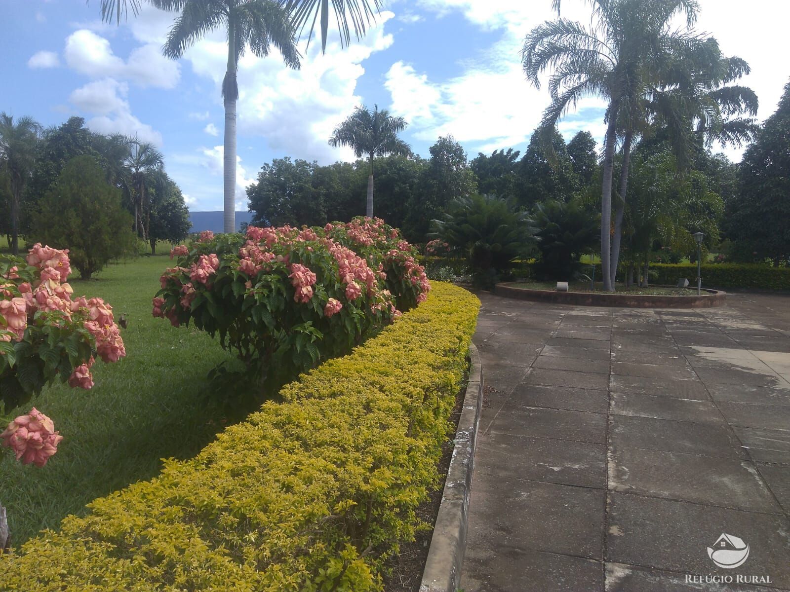 Fazenda à venda com 11 quartos, 48593600m² - Foto 46