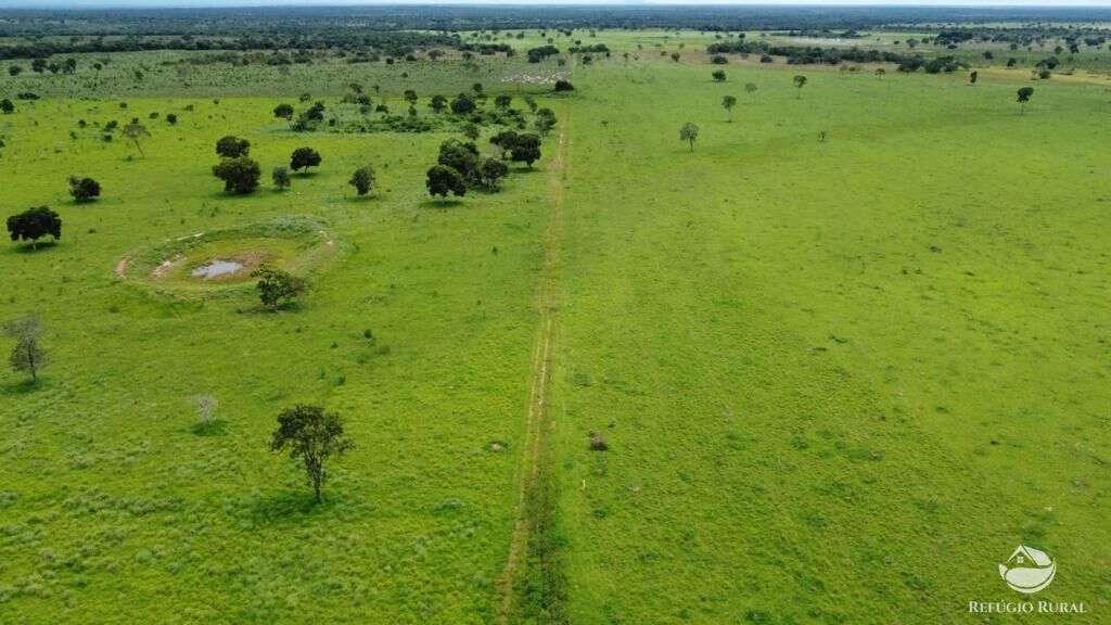 Fazenda à venda com 11 quartos, 48593600m² - Foto 49