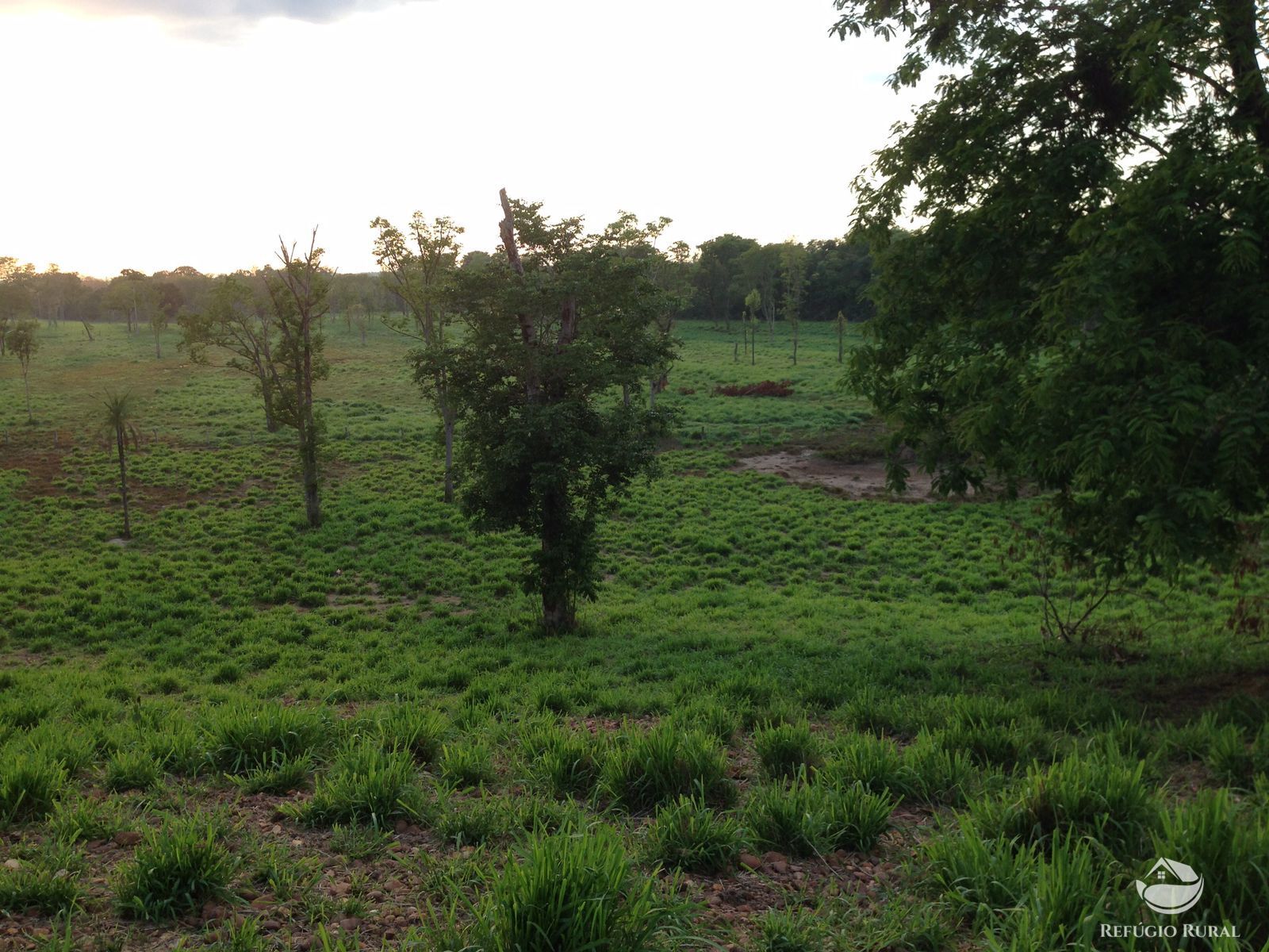 Fazenda à venda com 11 quartos, 48593600m² - Foto 40