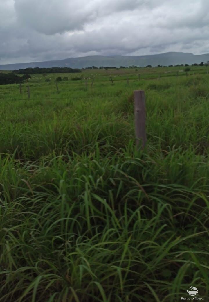 Fazenda à venda com 11 quartos, 48593600m² - Foto 22