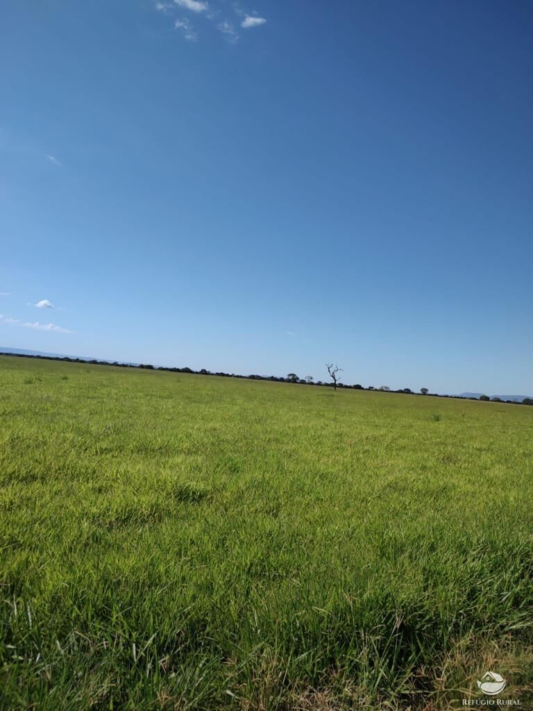 Fazenda à venda com 11 quartos, 48593600m² - Foto 13