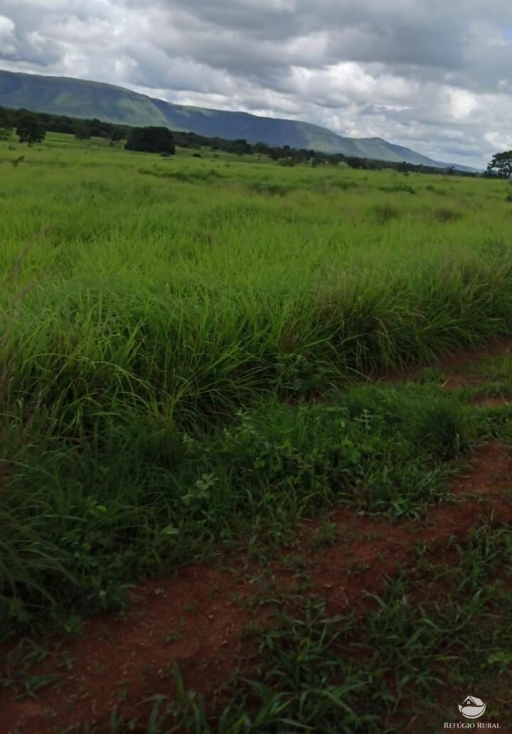 Fazenda à venda com 11 quartos, 48593600m² - Foto 34