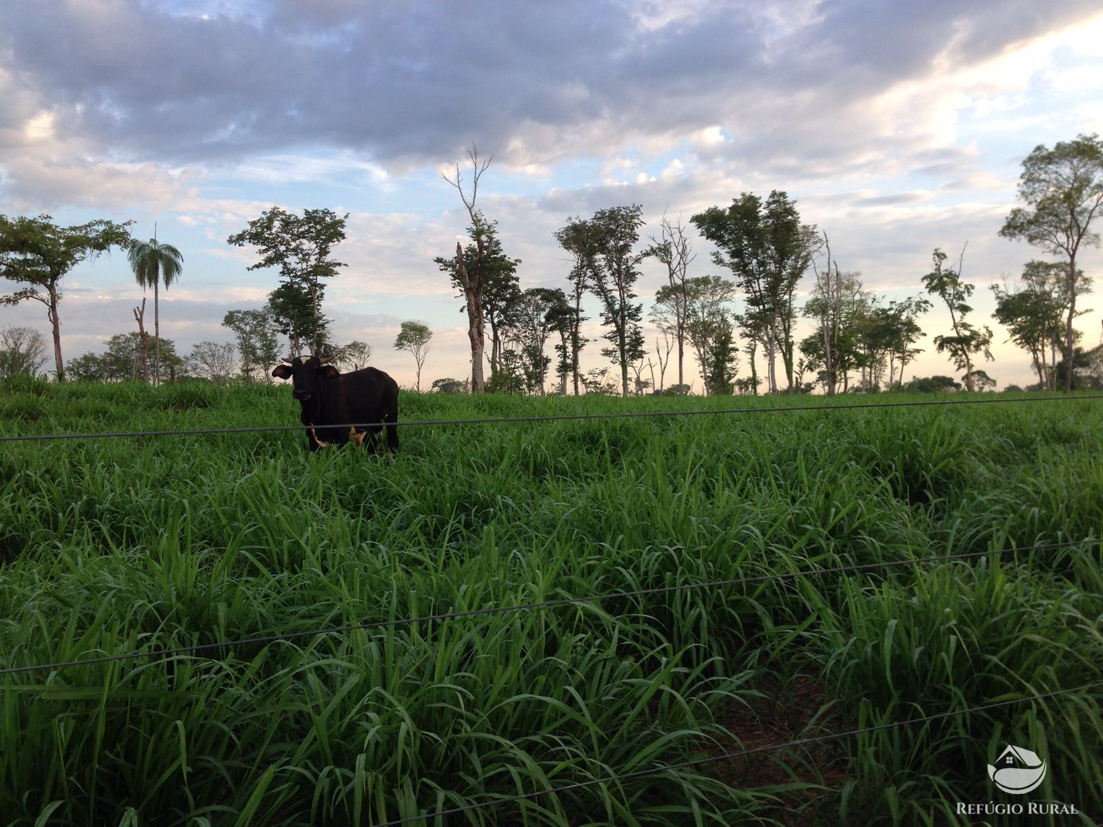 Fazenda à venda com 11 quartos, 48593600m² - Foto 3