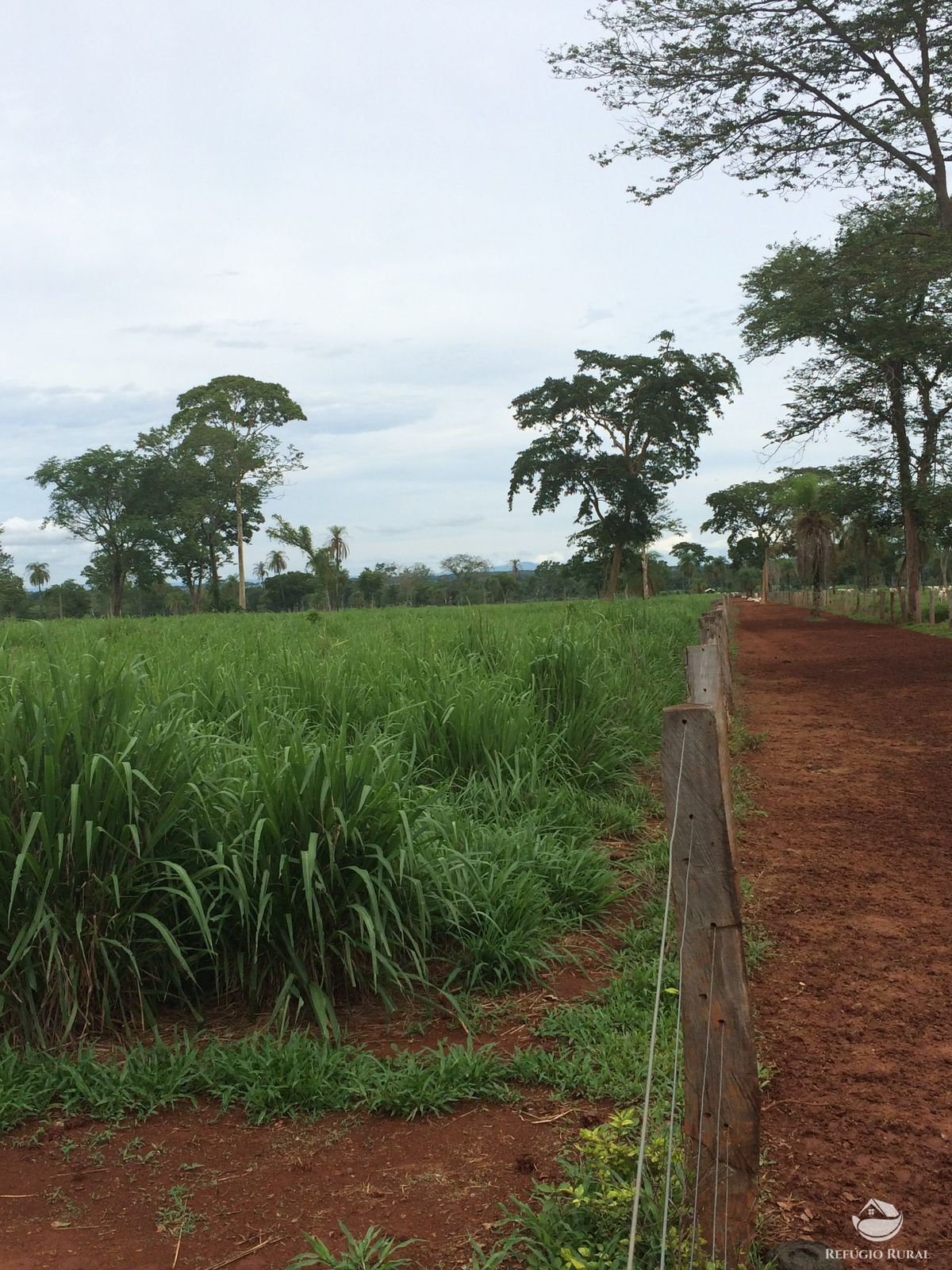 Fazenda à venda com 11 quartos, 48593600m² - Foto 44