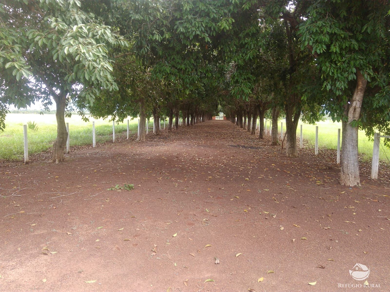 Fazenda à venda com 11 quartos, 48593600m² - Foto 50