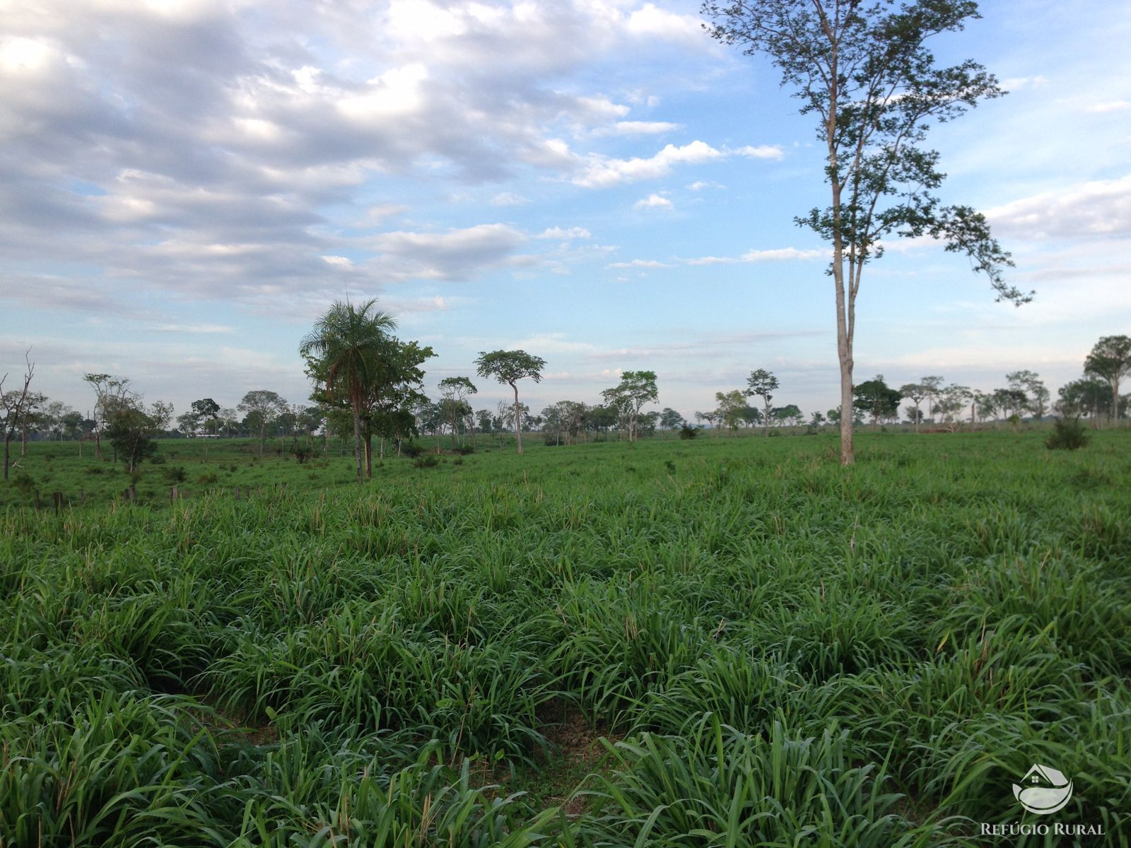 Fazenda à venda com 11 quartos, 48593600m² - Foto 41