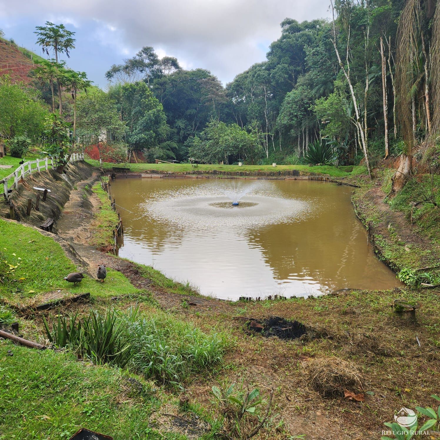 Chácara à venda com 4 quartos, 51000m² - Foto 10