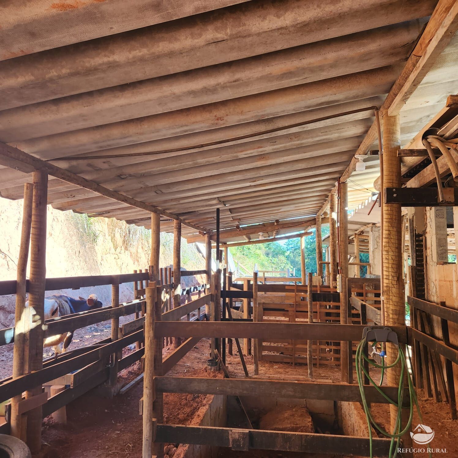 Chácara à venda com 4 quartos, 51000m² - Foto 31