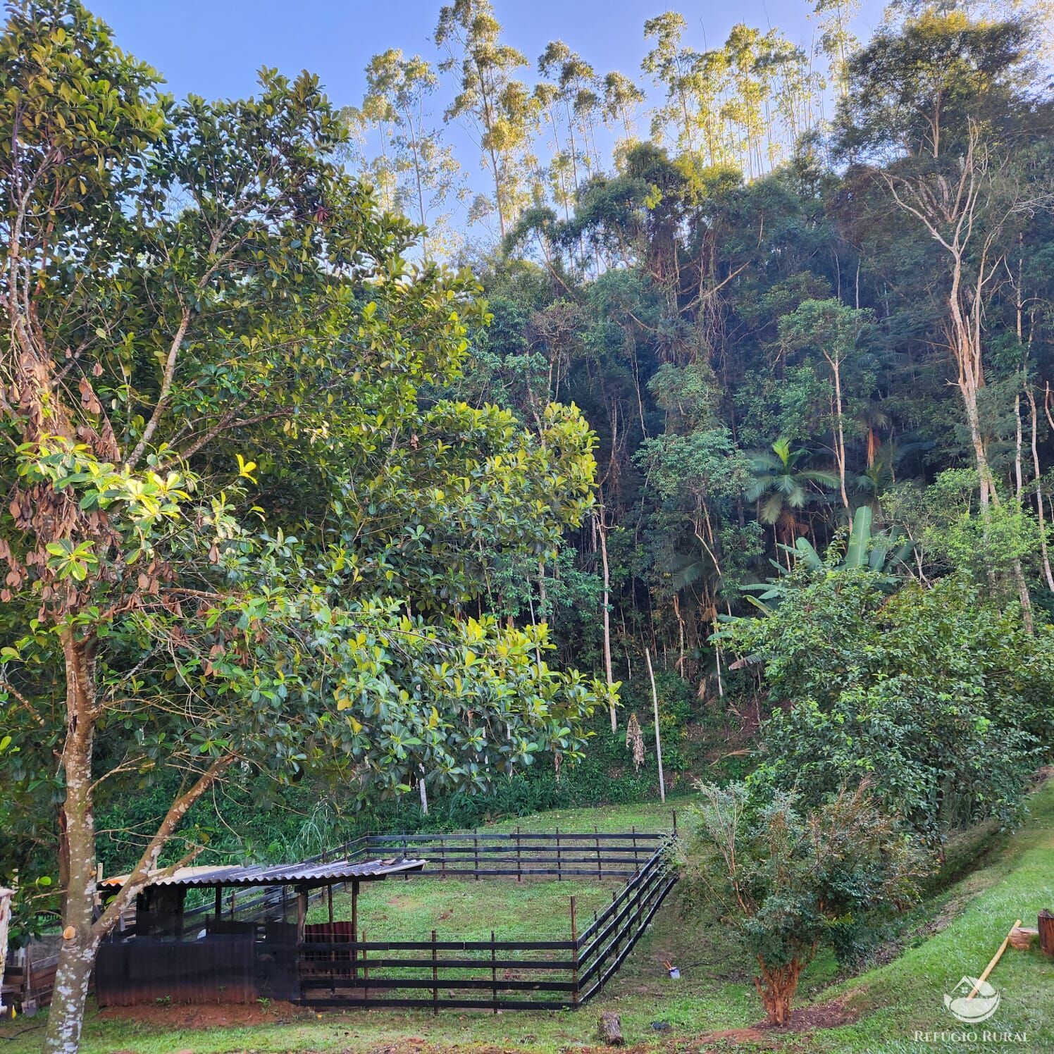 Chácara à venda com 4 quartos, 51000m² - Foto 18
