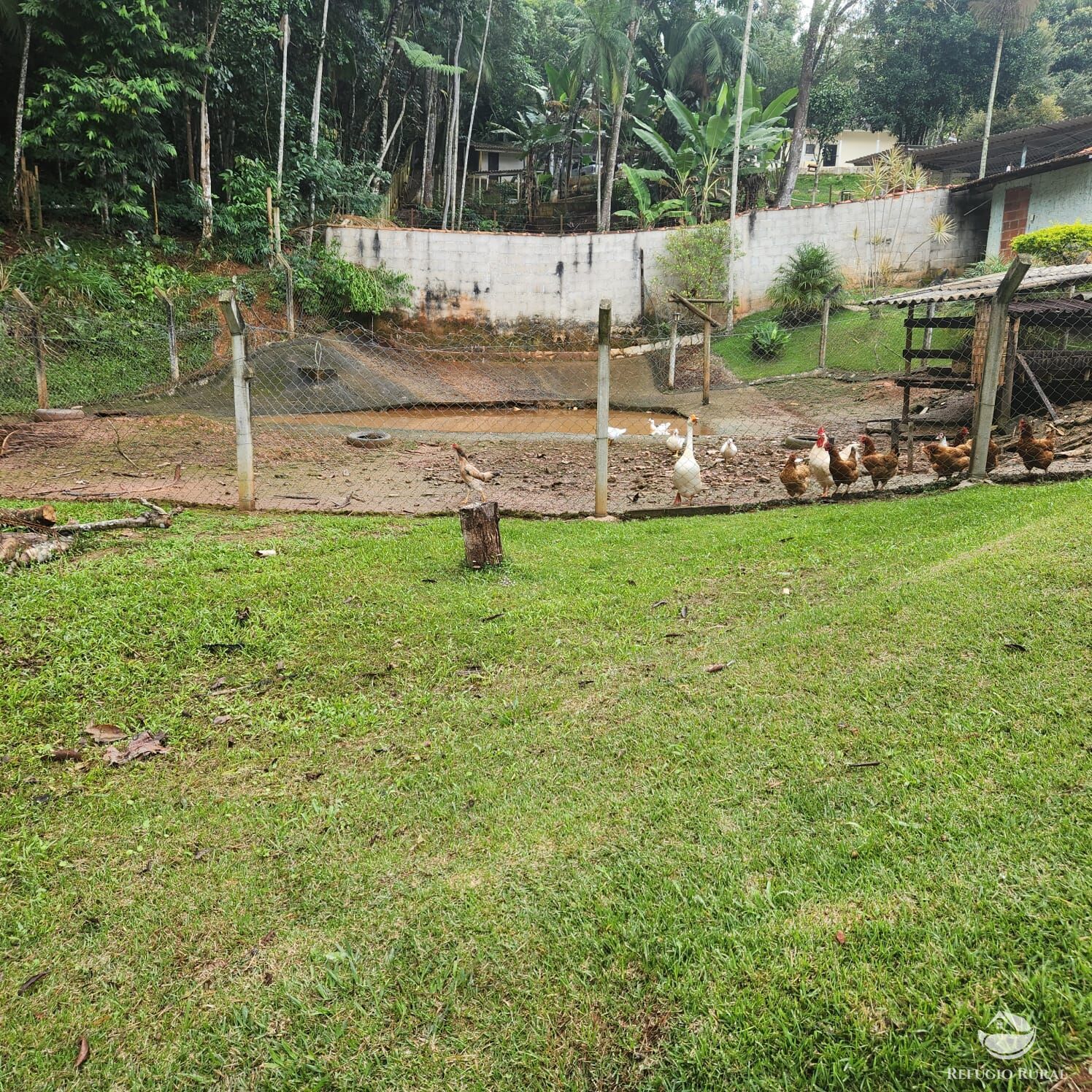 Chácara à venda com 4 quartos, 51000m² - Foto 9