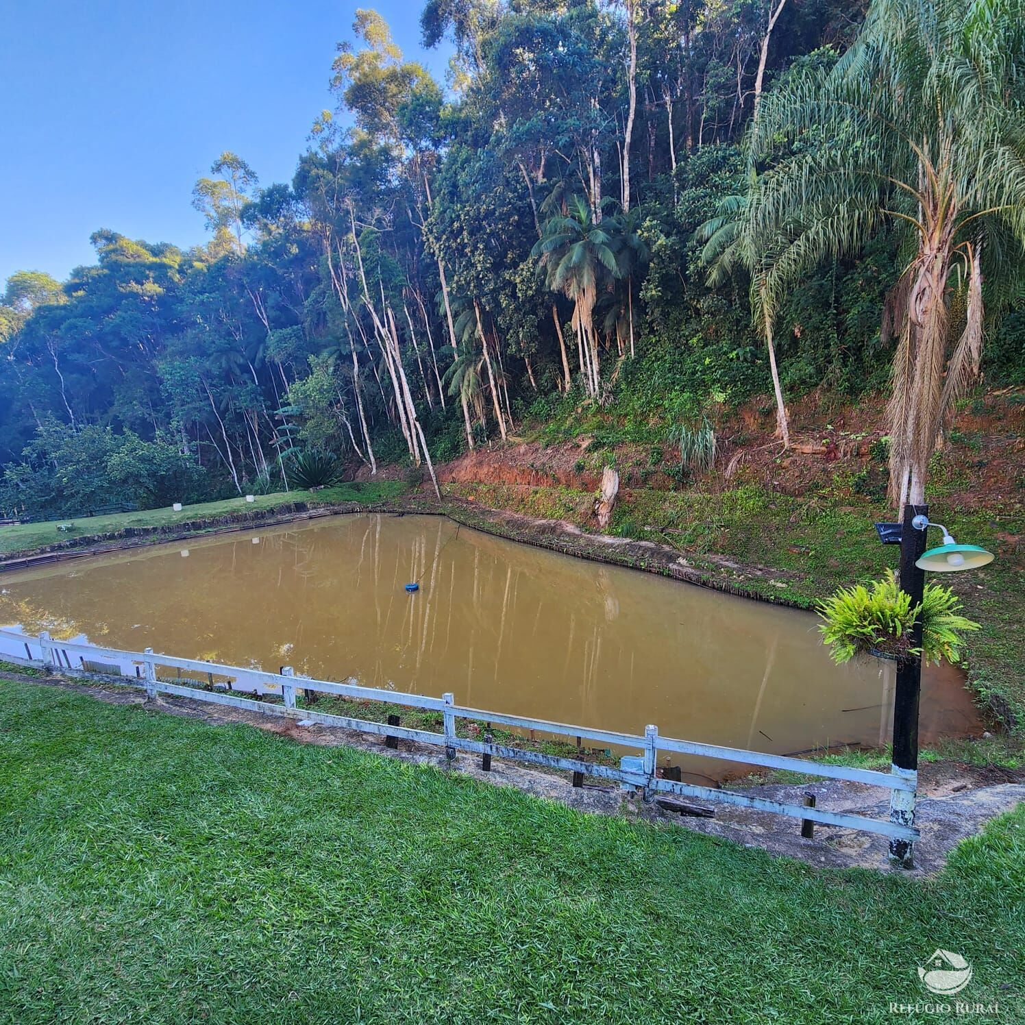 Chácara à venda com 4 quartos, 51000m² - Foto 4