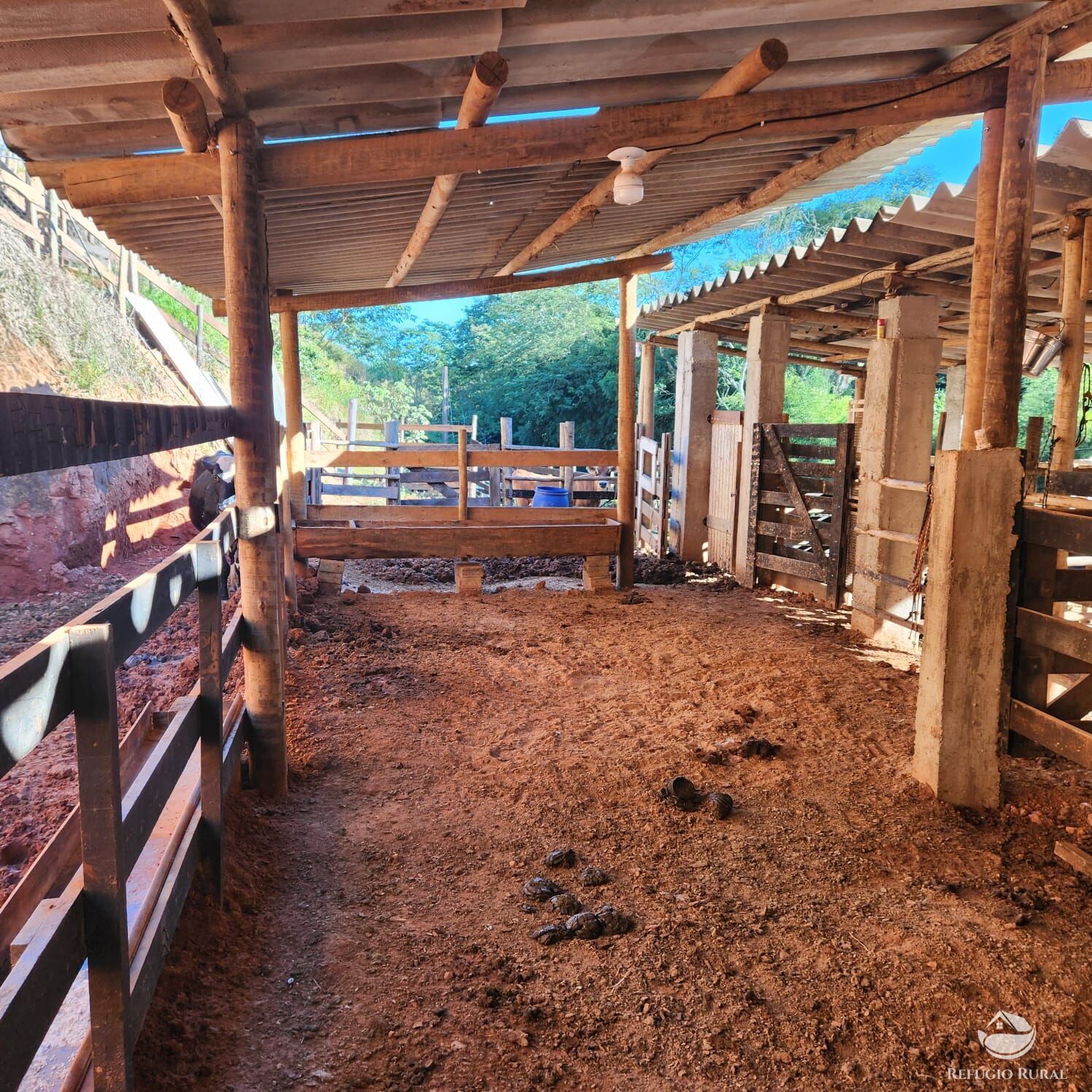 Chácara à venda com 4 quartos, 51000m² - Foto 36