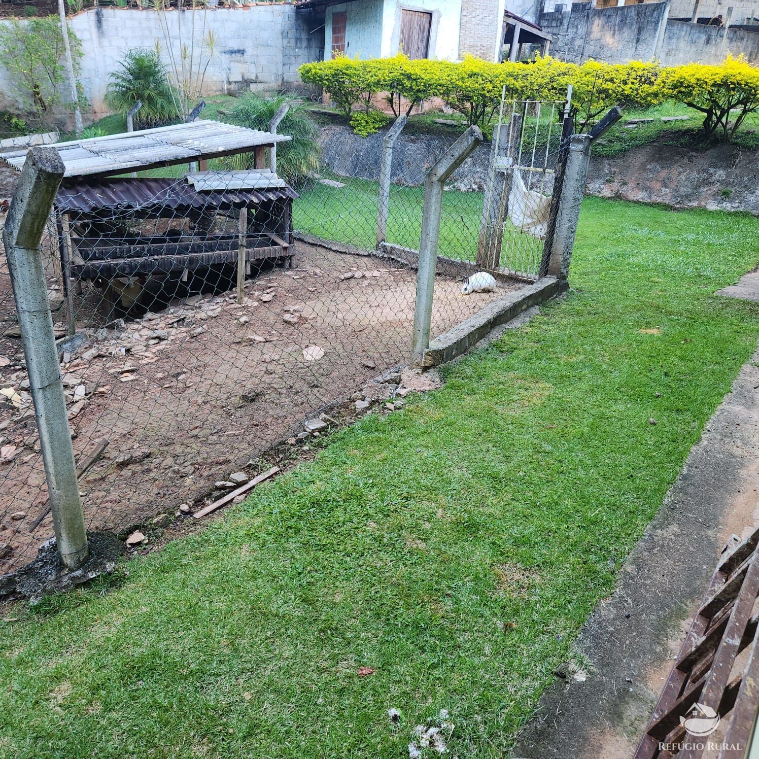 Chácara à venda com 4 quartos, 51000m² - Foto 26