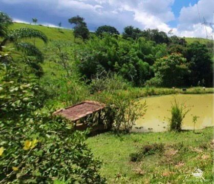 Fazenda à venda com 14 quartos, 121000m² - Foto 9