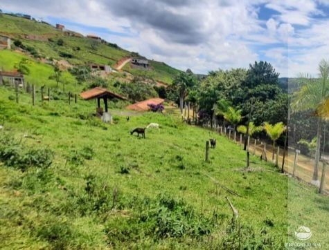 Fazenda à venda com 14 quartos, 121000m² - Foto 14