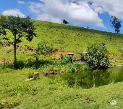 Fazenda à venda com 14 quartos, 121000m² - Foto 10