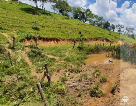 Fazenda à venda com 14 quartos, 121000m² - Foto 11