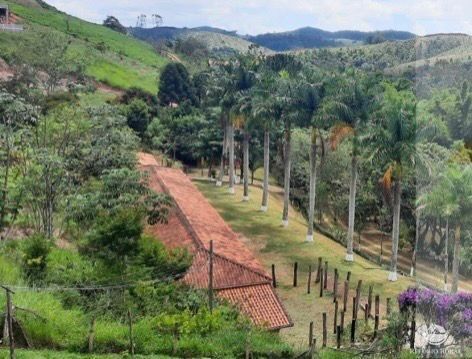 Fazenda à venda com 14 quartos, 121000m² - Foto 15