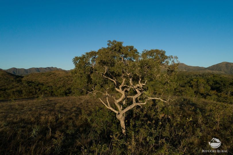 Fazenda à venda com 1 quarto, 6776000m² - Foto 2