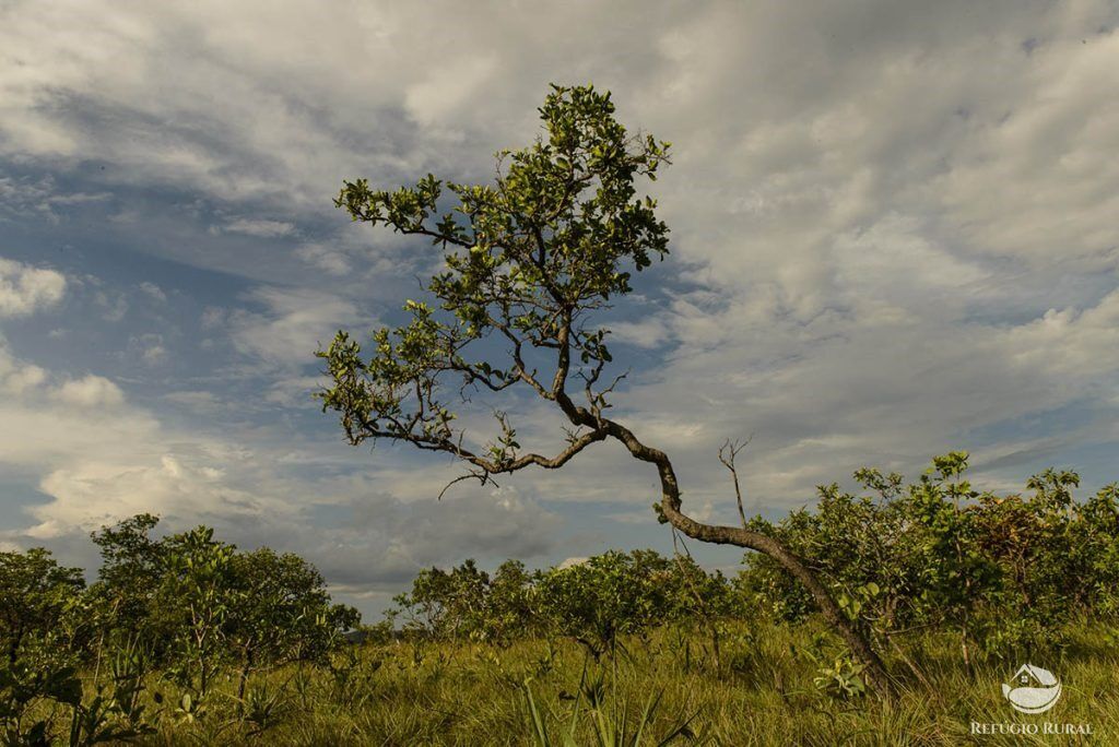 Fazenda à venda com 1 quarto, 6776000m² - Foto 1