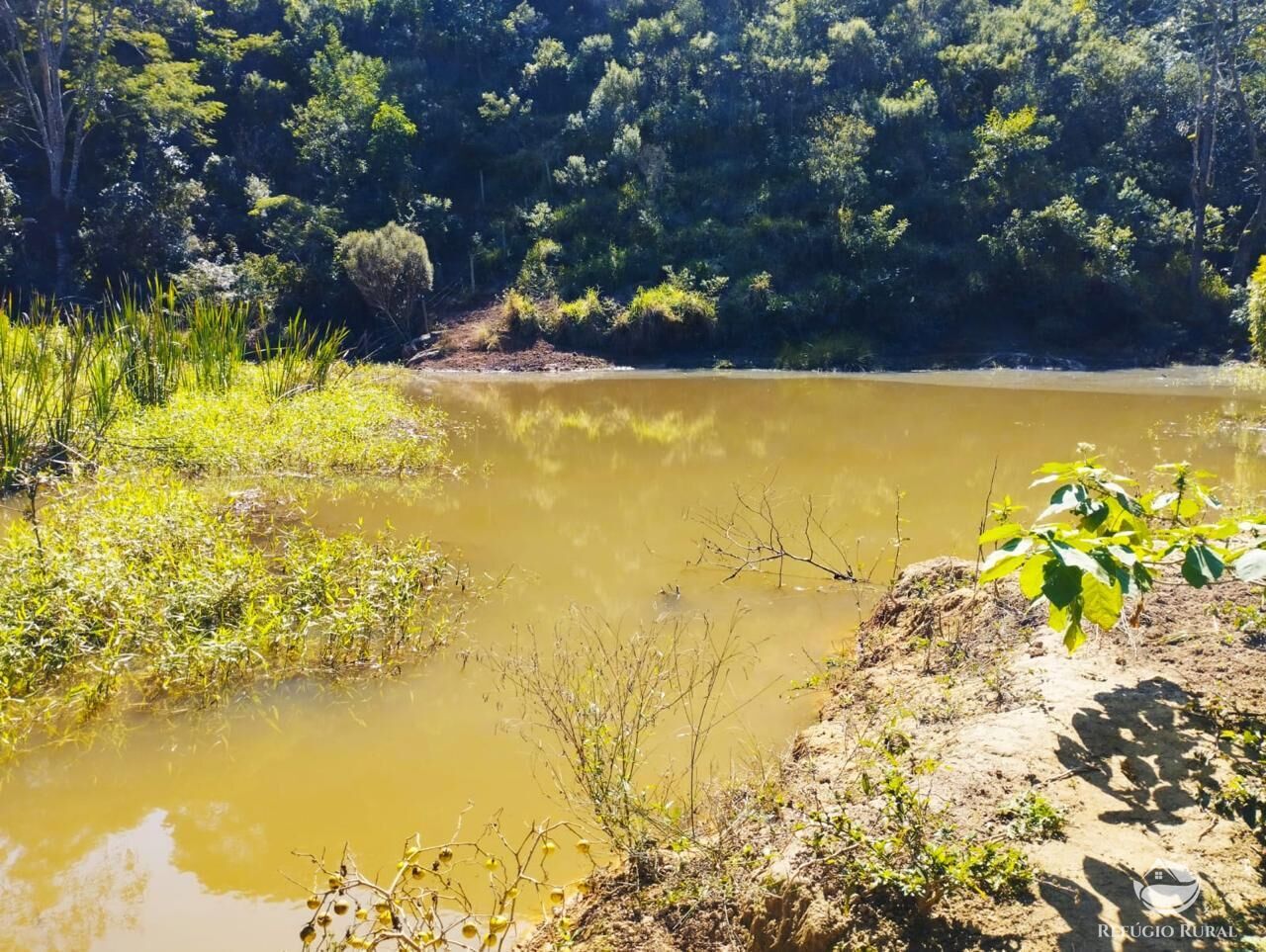 Fazenda à venda com 2 quartos, 1210000m² - Foto 4