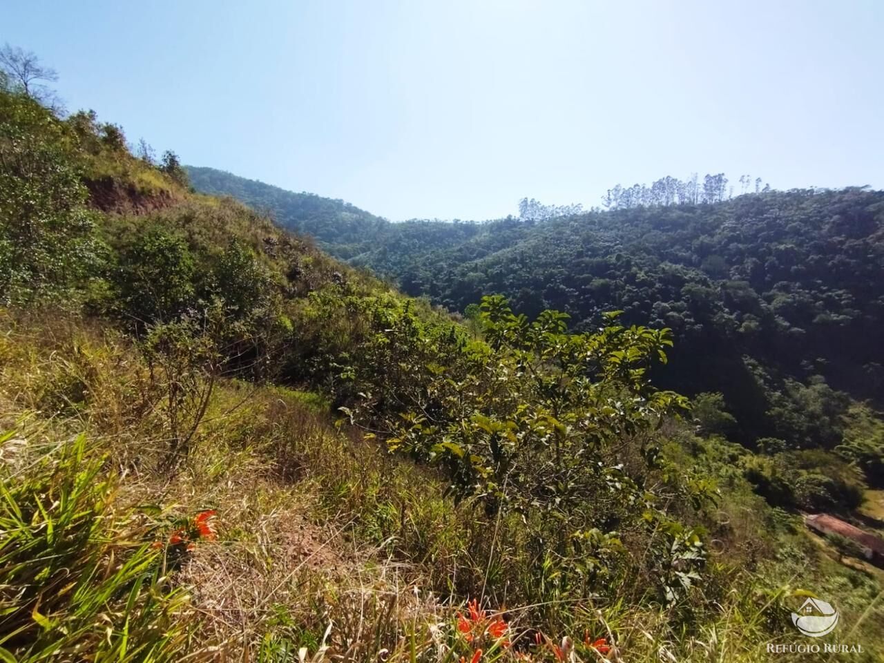 Fazenda à venda com 2 quartos, 1210000m² - Foto 32