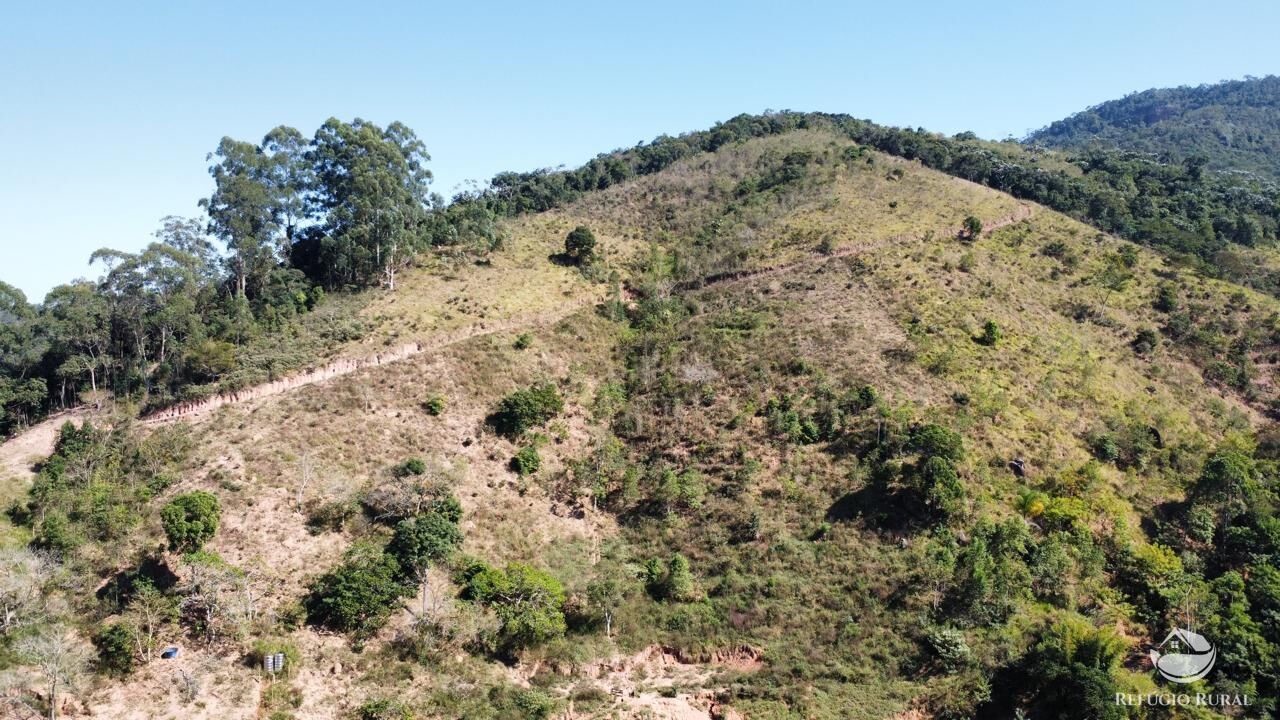 Fazenda à venda com 2 quartos, 1210000m² - Foto 9