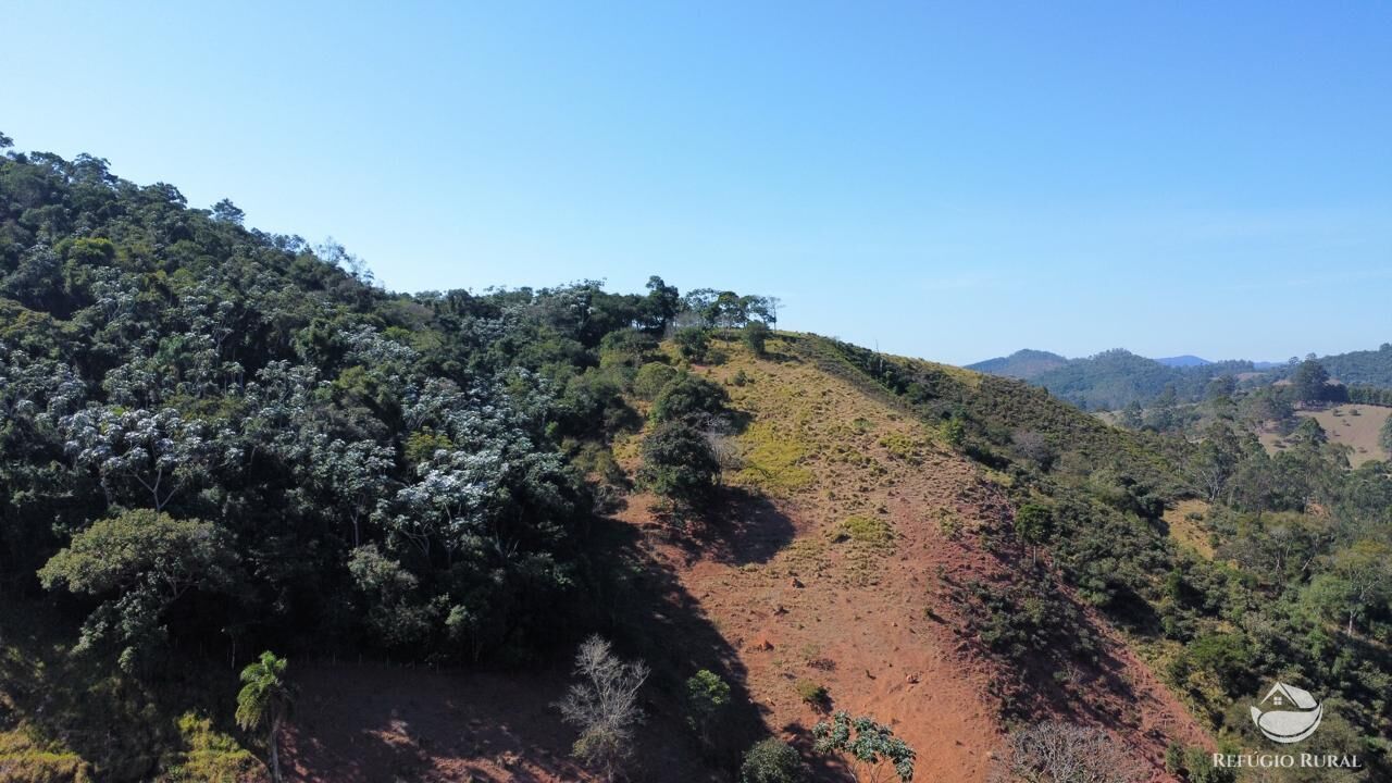 Fazenda à venda com 2 quartos, 1210000m² - Foto 13